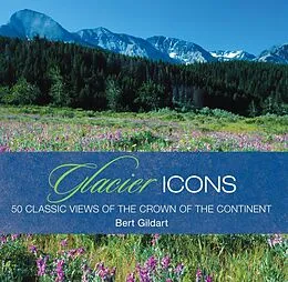 E-Book (epub) Glacier Icons von Jane Gildart
