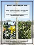 E-Book (epub) Medicinal Uses of Chaparral Plants von Eric J. Guignard