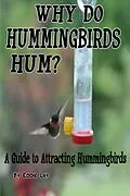 E-Book (epub) Why Do Hummingbirds Humm? von Eddie Lay