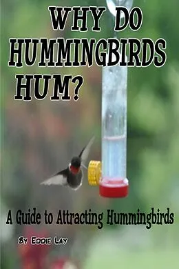 E-Book (epub) Why Do Hummingbirds Humm? von Eddie Lay