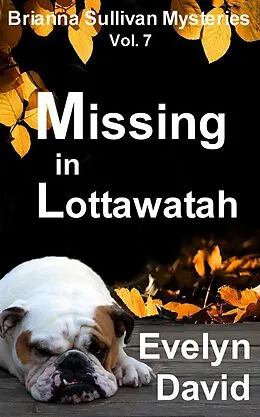 E-Book (epub) Missing in Lottawatah von Evelyn David