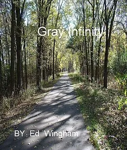 E-Book (epub) Gray Infinity von Ed Wingham