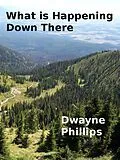 E-Book (epub) What is Happening Down There von Dwayne Phillips
