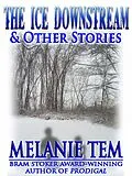 E-Book (epub) Ice Downstream von Melanie Tem