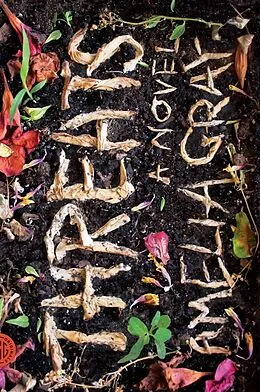 E-Book (epub) Threats von Amelia Gray