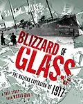 E-Book (epub) Blizzard of Glass von Sally M. Walker