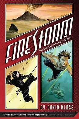 E-Book (epub) Firestorm von David Klass