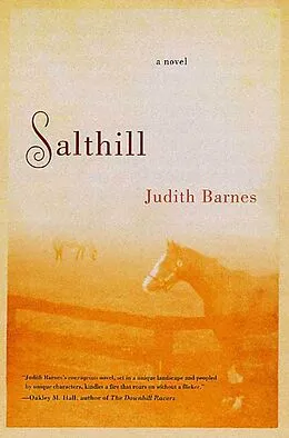 E-Book (epub) Salthill von Judith Barnes