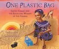 E-Book (pdf) One Plastic Bag von Miranda Paul