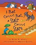 E-Book (epub) Bat Cannot Bat, a Stair Cannot Stare von Brian P. Cleary