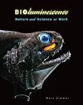 PDF Bioluminescence von Marc Zimmer