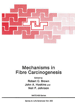 E-Book (pdf) Mechanisms in Fibre Carcinogenesis von 