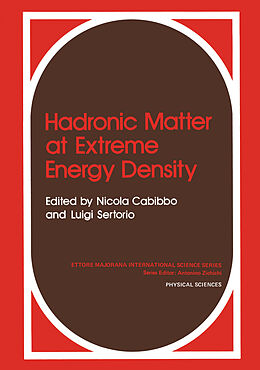 Kartonierter Einband Hadronic Matter at Extreme Energy Density von 