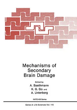 E-Book (pdf) Mechanisms of Secondary Brain Damage von A. Baethmann, K. G. Go, A. Unterberg