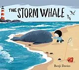 Kartonierter Einband The Storm Whale von Davies Benji