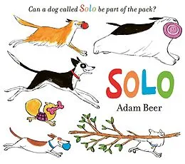 E-Book (epub) Solo von Adam Beer
