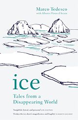 eBook (epub) Ice de Marco Tedesco