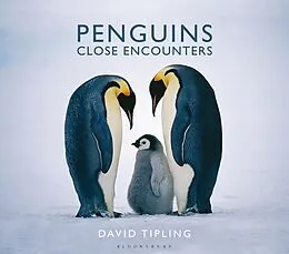 E-Book (epub) Penguins von David Tipling
