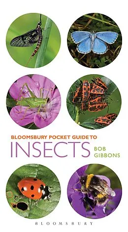 E-Book (pdf) Pocket Guide to Insects von Bob Gibbons