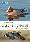 E-Book (pdf) RSPB Spotlight Ducks and Geese von Marianne Taylor
