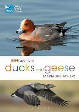 E-Book (pdf) RSPB Spotlight Ducks and Geese von Marianne Taylor