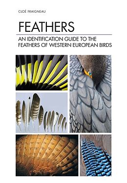 Livre Relié Feathers de Cloé Fraigneau