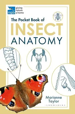 E-Book (pdf) The Pocket Book of Insect Anatomy von Marianne Taylor