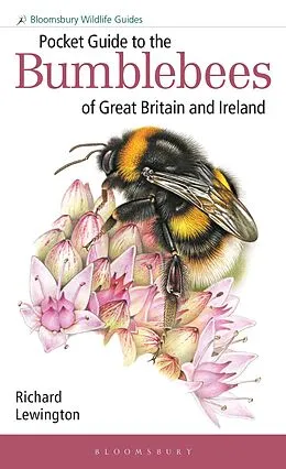 E-Book (pdf) Pocket Guide to the Bumblebees of Great Britain and Ireland von Richard Lewington
