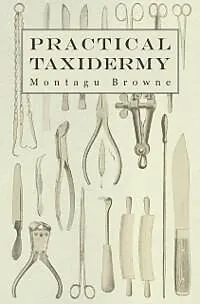 E-Book (epub) Practical Taxidermy von Montagu Browne