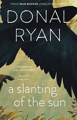 E-Book (epub) Slanting of the Sun: Stories von Donal Ryan