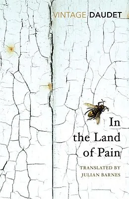 E-Book (epub) In the Land of Pain von Alphonse Daudet