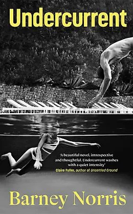 E-Book (epub) Undercurrent von Barney Norris