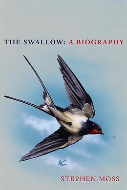 eBook (epub) Swallow de Stephen Moss