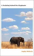 E-Book (epub) A Training School for Elephants von Sophy Roberts
