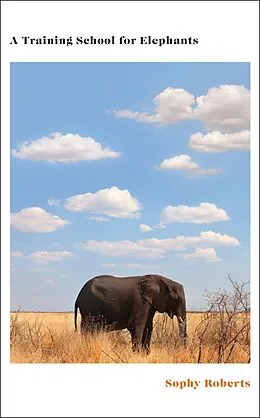 E-Book (epub) A Training School for Elephants von Sophy Roberts