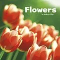 E-Book (pdf) Flowers von Kathryn Clay