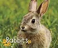 E-Book (pdf) Rabbits von G. G. Lake