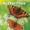E-Book (pdf) Butterflies von Lisa J. Amstutz