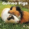 E-Book (pdf) Guinea Pigs von Lisa J. Amstutz