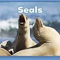 E-Book (pdf) Seals von Kathryn Clay