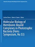 E-Book (pdf) Molecular Biology of Membrane-Bound Complexes in Phototrophic Bacteria von Gerhart Drews, Edwin A. Dawes
