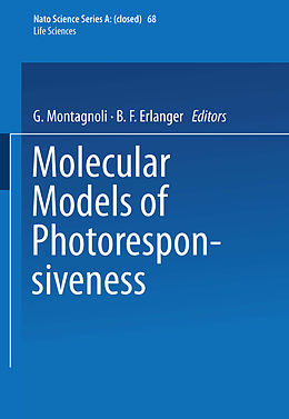 Kartonierter Einband Molecular Models of Photoresponsiveness von 