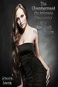 E-Book (epub) Chambermaid An Intimate Encounter in a New York Hotel Room von Paula Lang