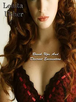 E-Book (epub) Break Ups And Discreet Encounters von Lenita Usher