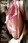 E-Book (epub) Sex And An Escort von Willow Warfield