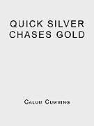 Kartonierter Einband Quick Silver Chases Gold von Calum Cumming