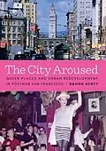 E-Book (epub) City Aroused von Damon Scott