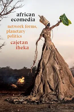 E-Book (pdf) African Ecomedia von Iheka Cajetan Iheka