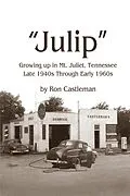 E-Book (epub) Julip von Ron Castleman