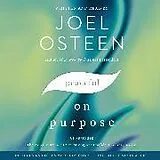 Audio CD (CD/SACD) Peaceful on Purpose von Joel Osteen